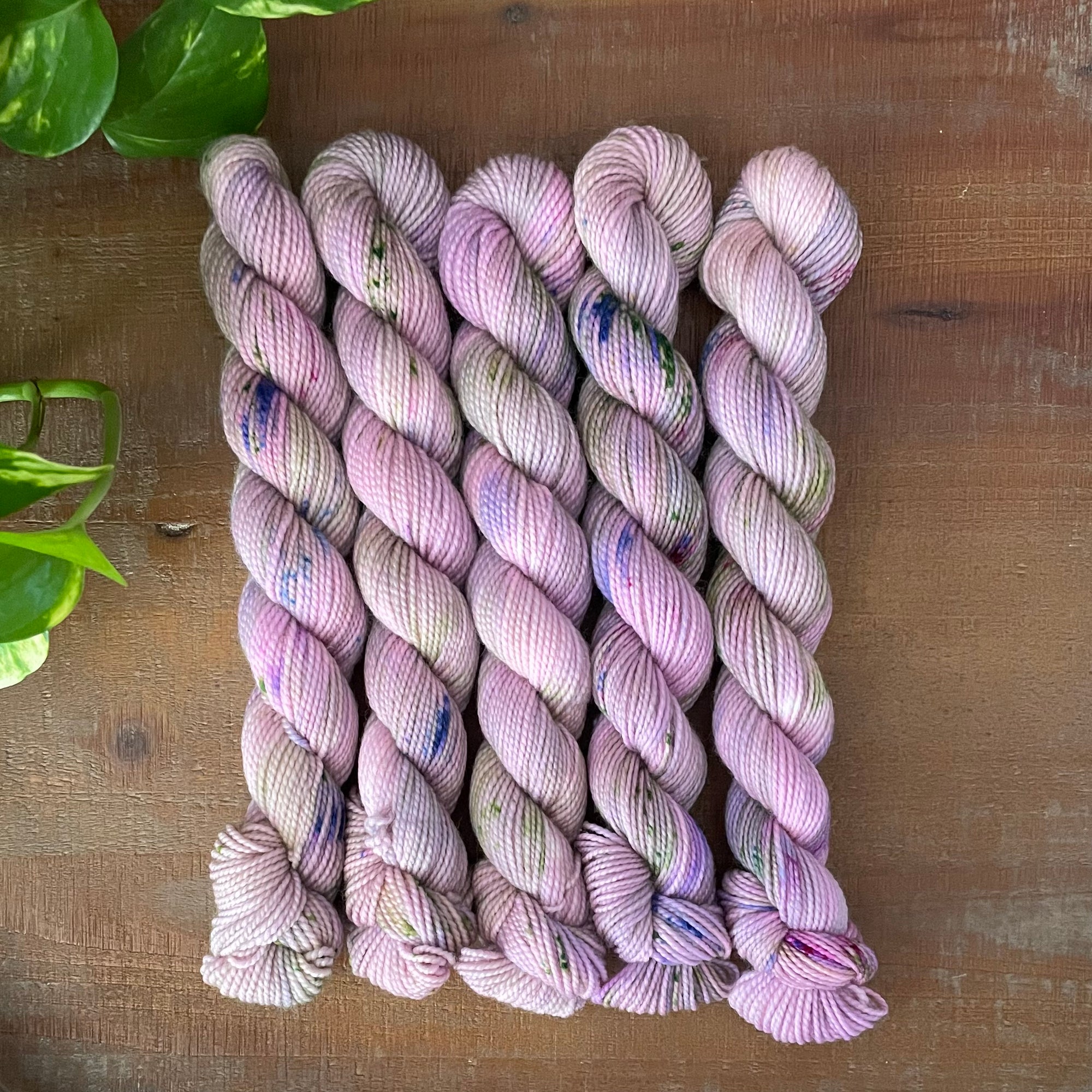 "Petunia" Mini Sock Hand-dyed Yarn