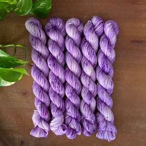 "Huckleberry" Mini Sock Hand-dyed Yarn