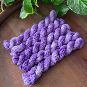 "Huckleberry" Mini Sock Hand-dyed Yarn