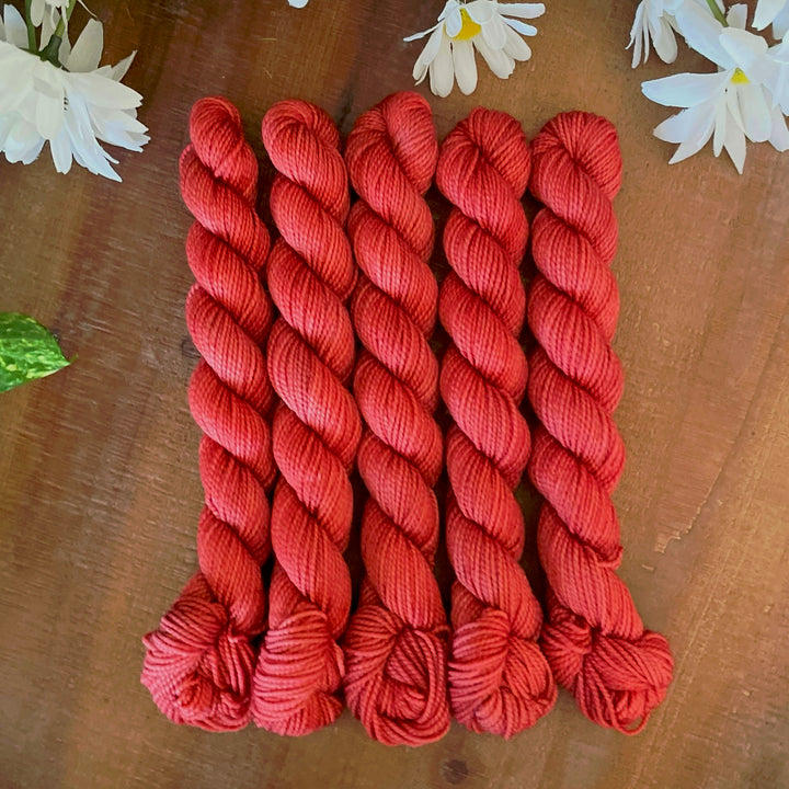 "Red Earth" Deluxe Sock Mini Hand-dyed Yarn