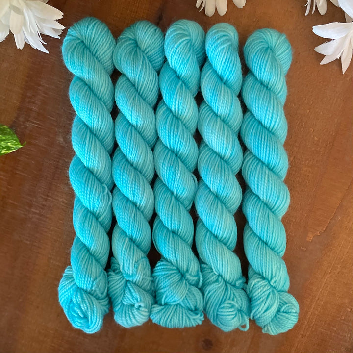 "Frozen" Deluxe Sock Mini Hand-dyed Yarn