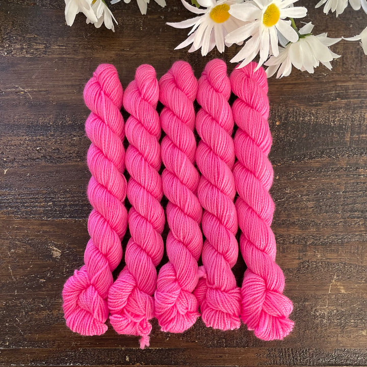 "Barbie" Deluxe Sock Mini Hand-dyed Yarn