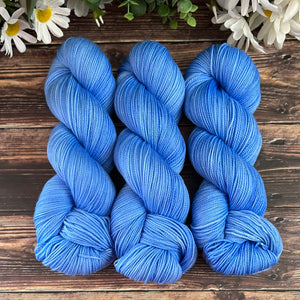 "French Country" Deluxe Sock Hand-dyed Yarn