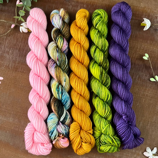 Elegance 5-Skein Mini Bundle Hand-dyed Yarn