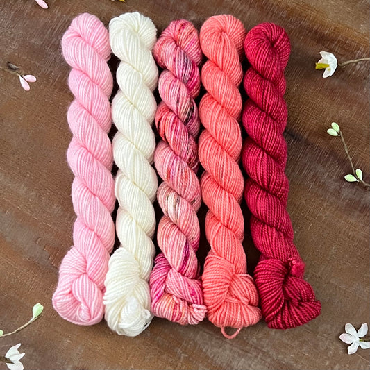 Amber Rose Hand-dyed Yarn Mini Kit