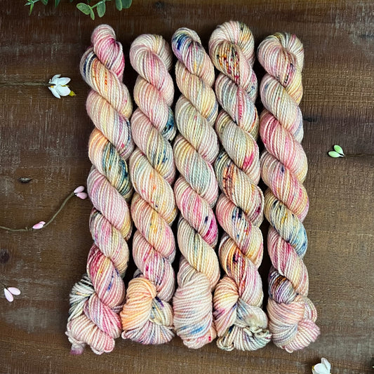 "Boardwalk" Mini Sock Hand-dyed Yarn