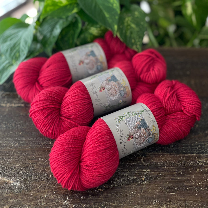 "Cardinal" Hand-dyed Yarn - Merino/Nylon DK & Merino DK
