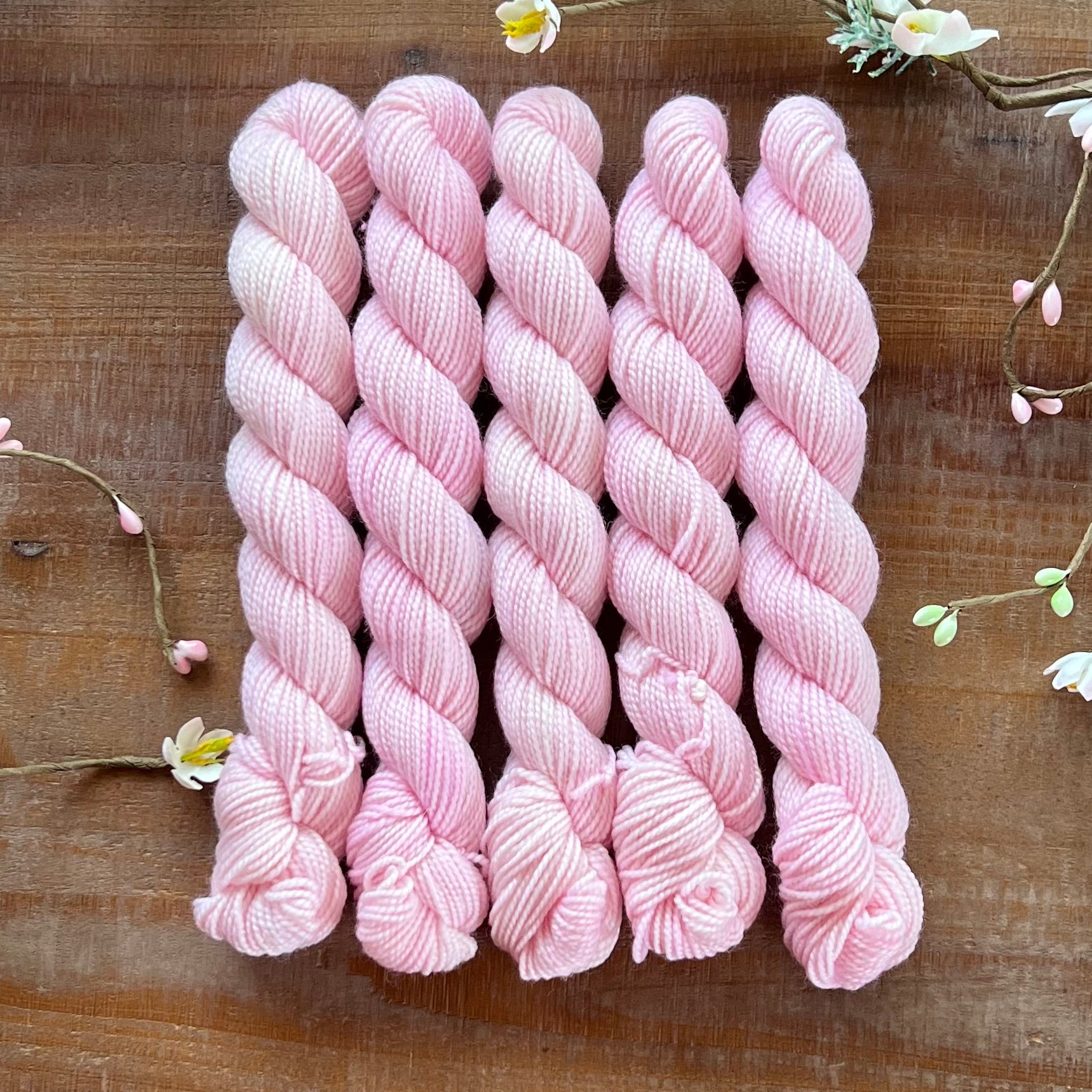 "Carnation" Mini Sock Hand-dyed Yarn