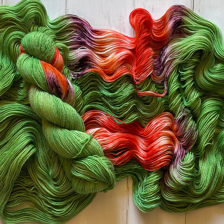 "Bird of Paradise" Assigned Pooling Hand-Dyed Yarn