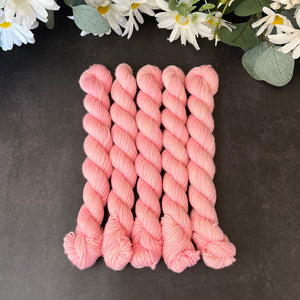 "Bubble Gum" Mini Sock Hand-dyed Yarn