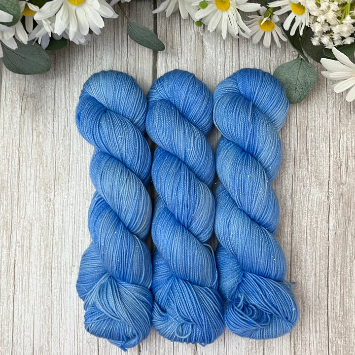 "French Country" Deluxe Sparkle Fingering Hand-dyed Yarn