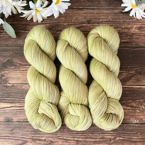 "Celery" Hand-dyed Yarn