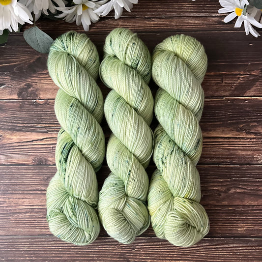 "Grasslands"  Hand-dyed Yarn