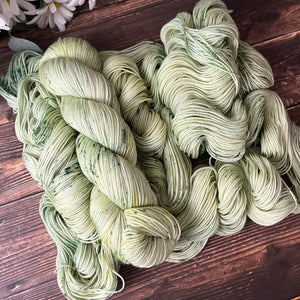 "Grasslands"  Hand-dyed Yarn