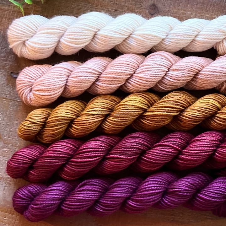 Burgundy Wine 5-Skein Mini Bundle Hand-dyed Yarn