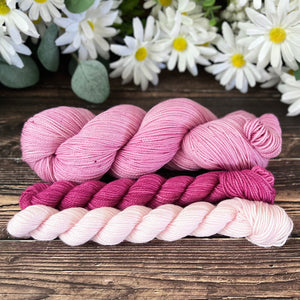 "Be My Valentine" Sock Set Hand-dyed Yarn