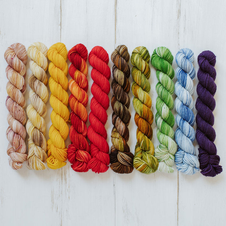 Garden Collection Mini Skein Set Hand-Dyed Yarn