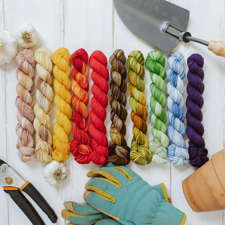 Garden Collection Mini Skein Set Hand-Dyed Yarn