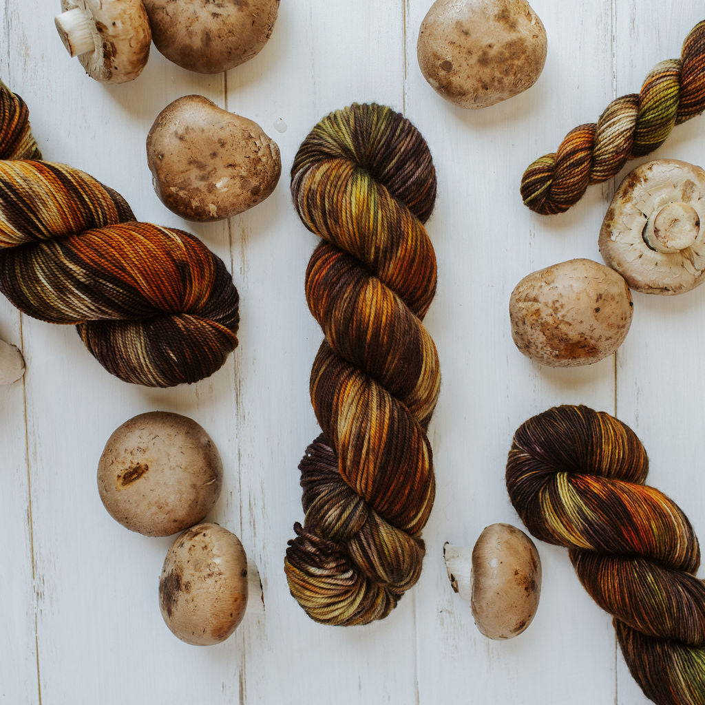 "Mushroom" Hand-Dyed Yarn – Garden Collection