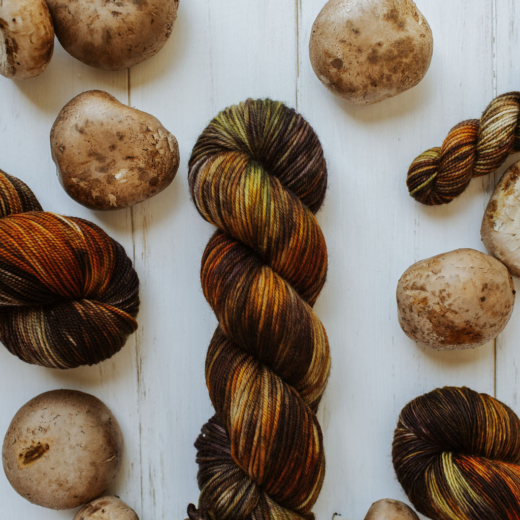 "Mushroom" Hand-Dyed Yarn – Garden Collection