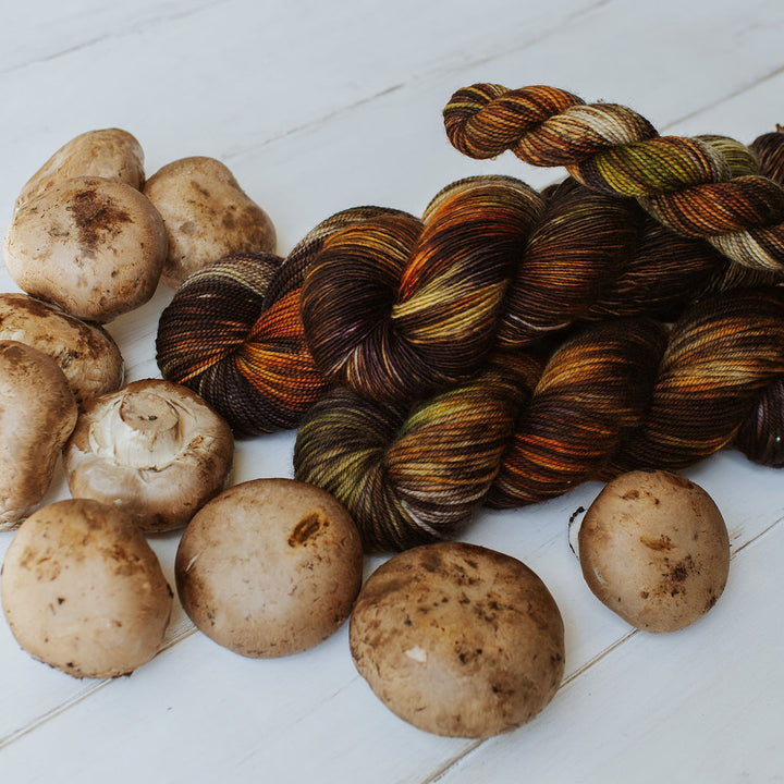 "Mushroom" Hand-Dyed Yarn – Garden Collection