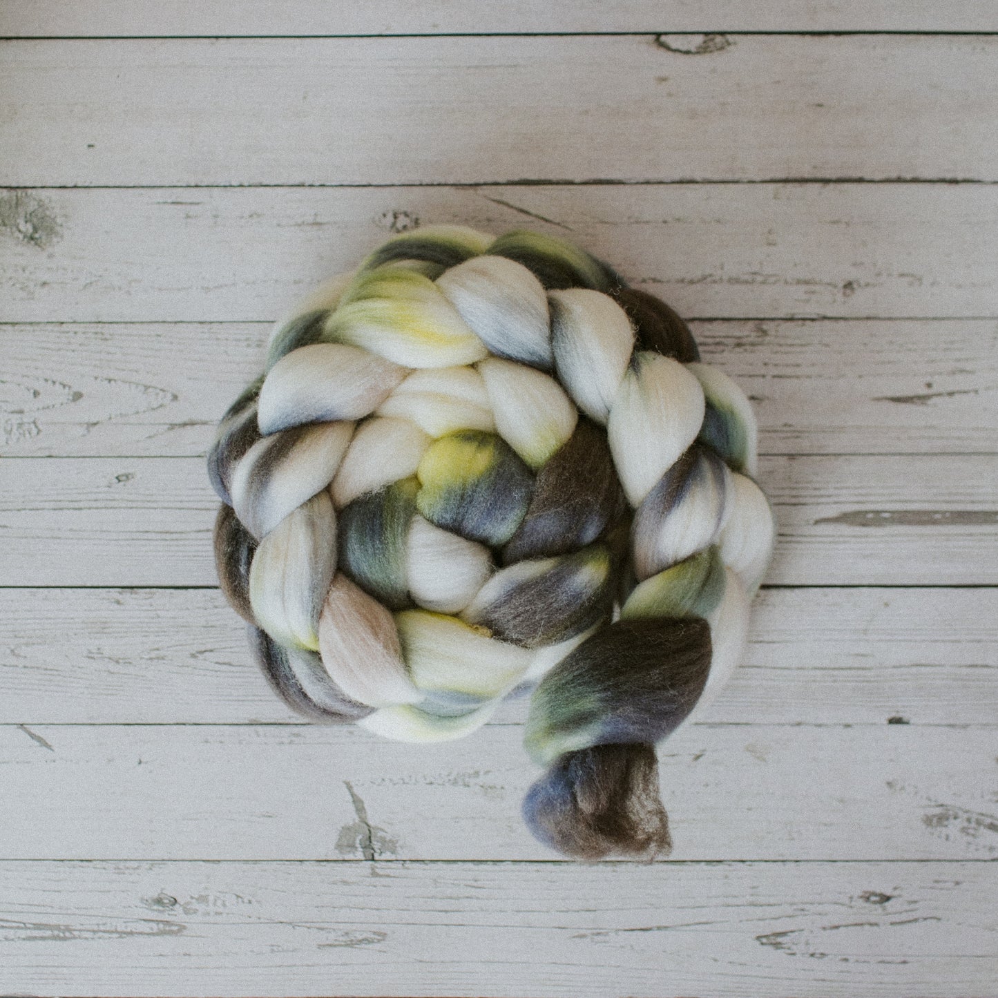 "Winter Woods" Hand-Dyed Roving