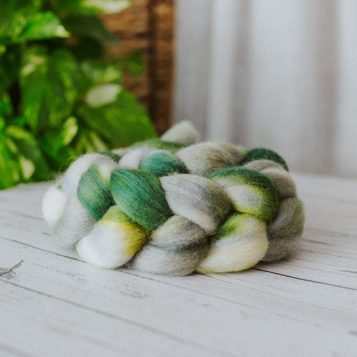 "Herb Garden" Hand-Dyed Roving - Corriedale