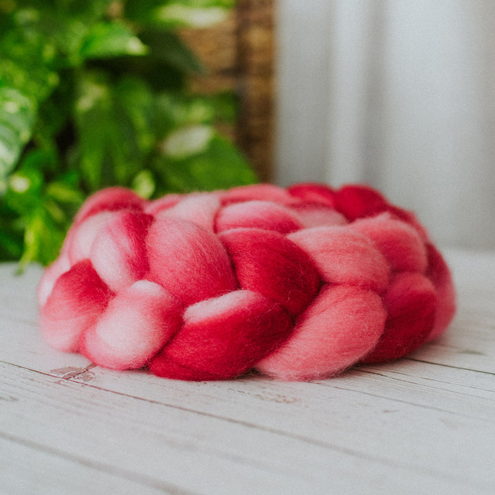 "Hugs and Kisses" Hand-Dyed Roving - Merino