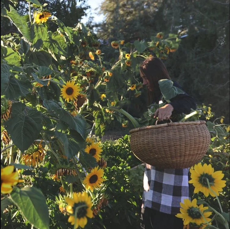 Farm &amp; Folk Quilt Alchemy By: Sara Larson Buscaglia