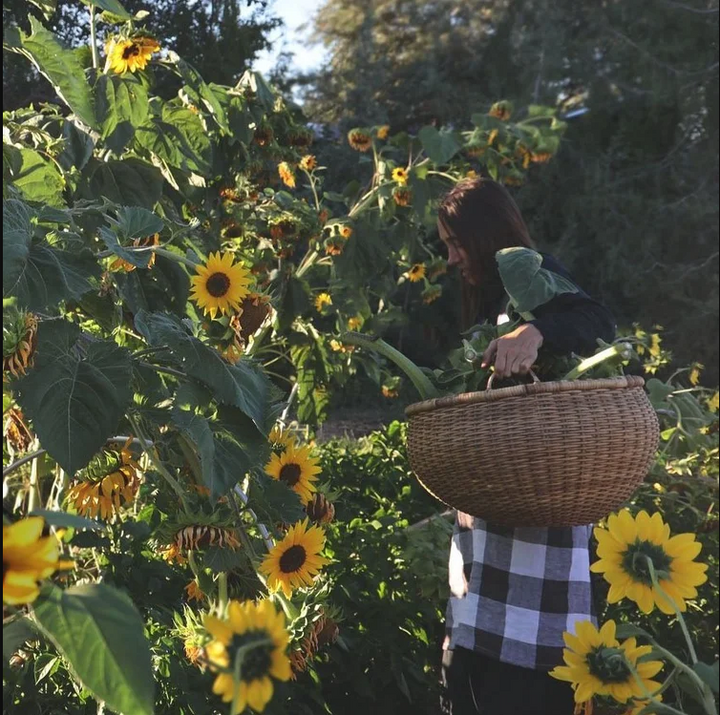 Farm &amp; Folk Quilt Alchemy By: Sara Larson Buscaglia