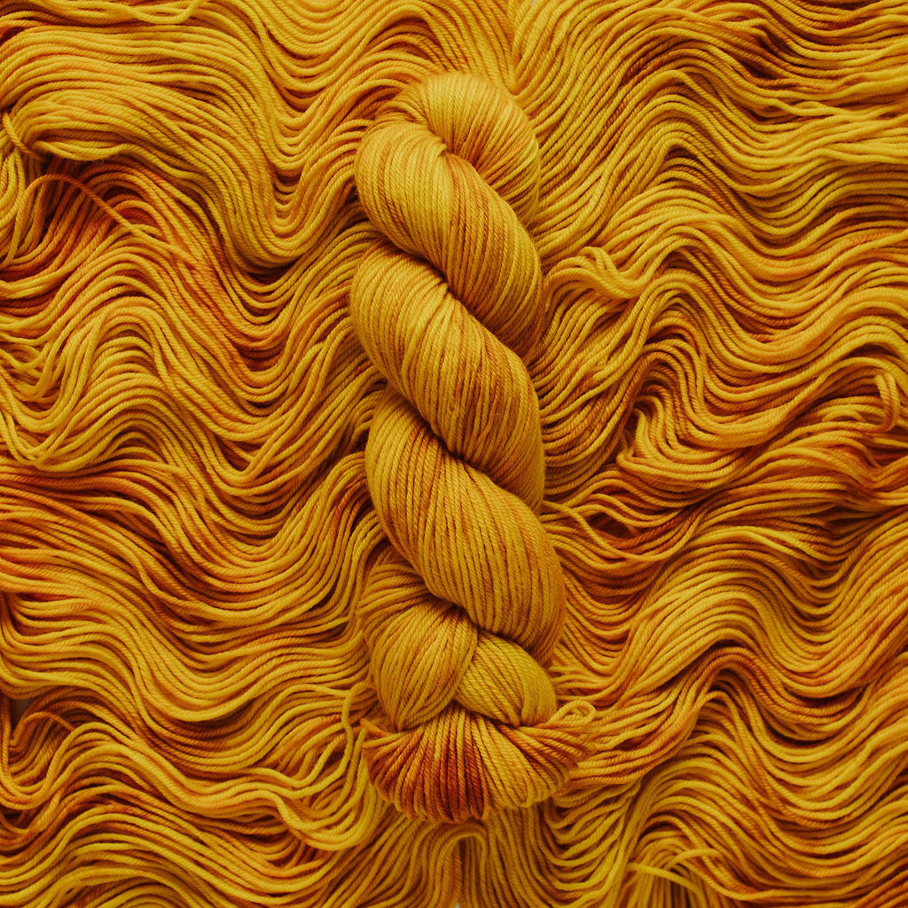 "Squash" Hand-Dyed Yarn – Harvest Collection