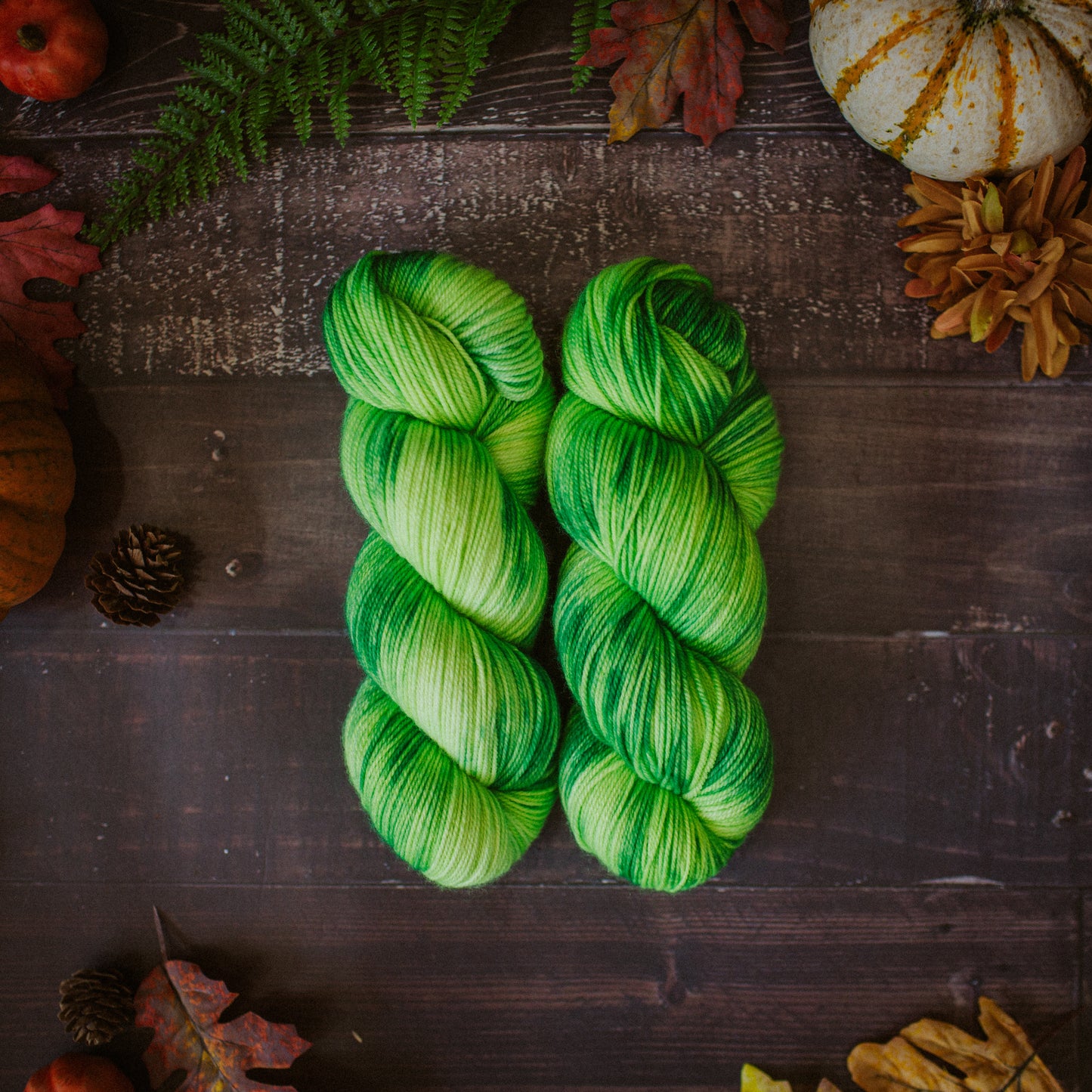 "Elphaba" Hand-dyed Yarn – "Wicked" Collection