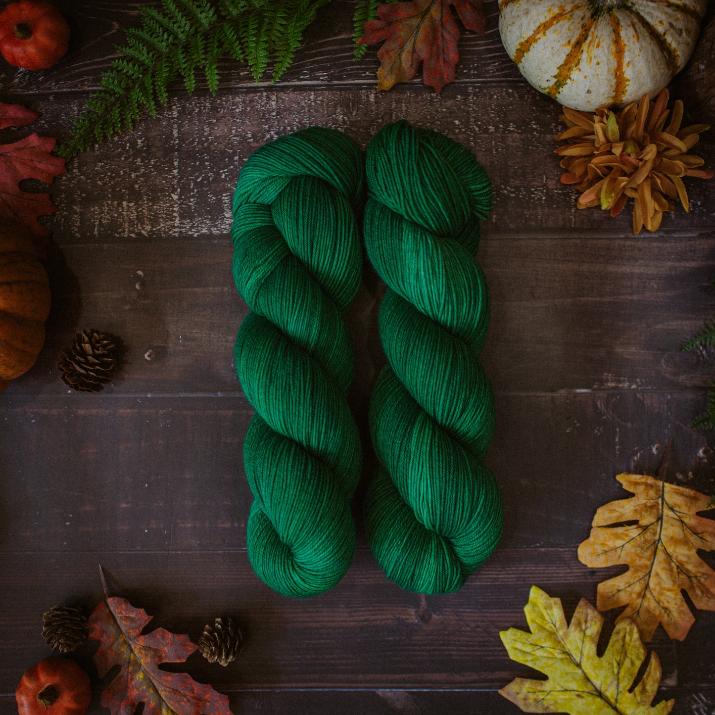 "Emerald City" Hand-dyed Yarn – "Wicked" Collection