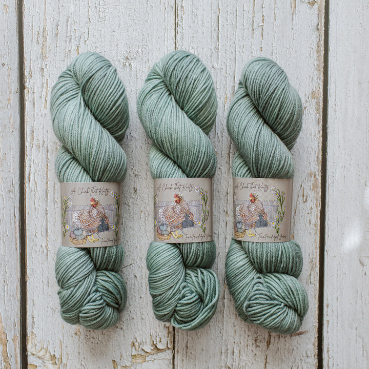"Clary Sage" Hand-dyed Yarn