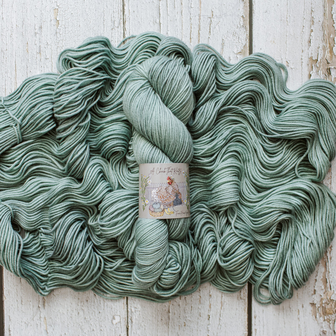 "Clary Sage" Hand-dyed Yarn